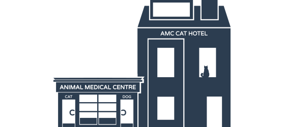amc-building-cat-hotel